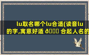 lu取名哪个lu合适(读音lu的字,寓意好适 🐎 合起人名的)